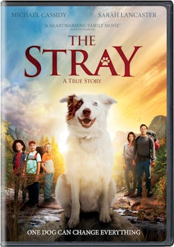 The Stray [DVD]