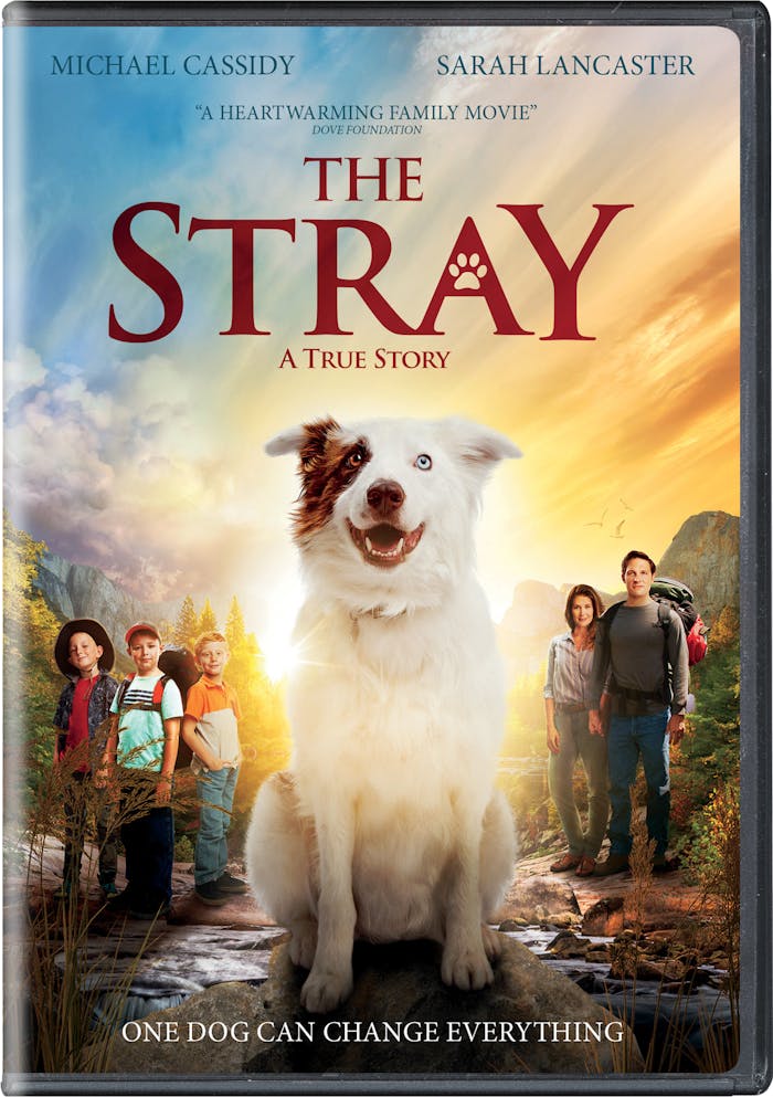 The Stray [DVD]