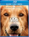 A Dog's Purpose (DVD + Digital) [Blu-ray] - Front
