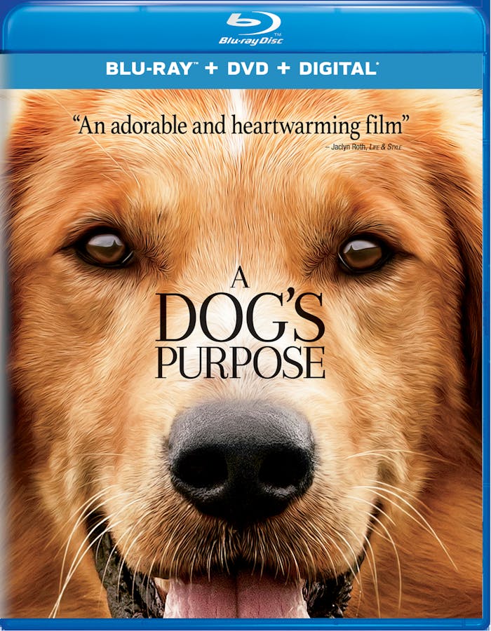 A Dog's Purpose (DVD + Digital) [Blu-ray]