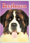 Beethoven [DVD] - Front