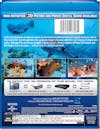 Fascination: Coral Reef 3D - Hunters and the Hunted (Blu-ray 3D) [Blu-ray] - Back