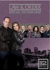 Law and Order - Special Victims Unit: Season 12 [DVD] - Front