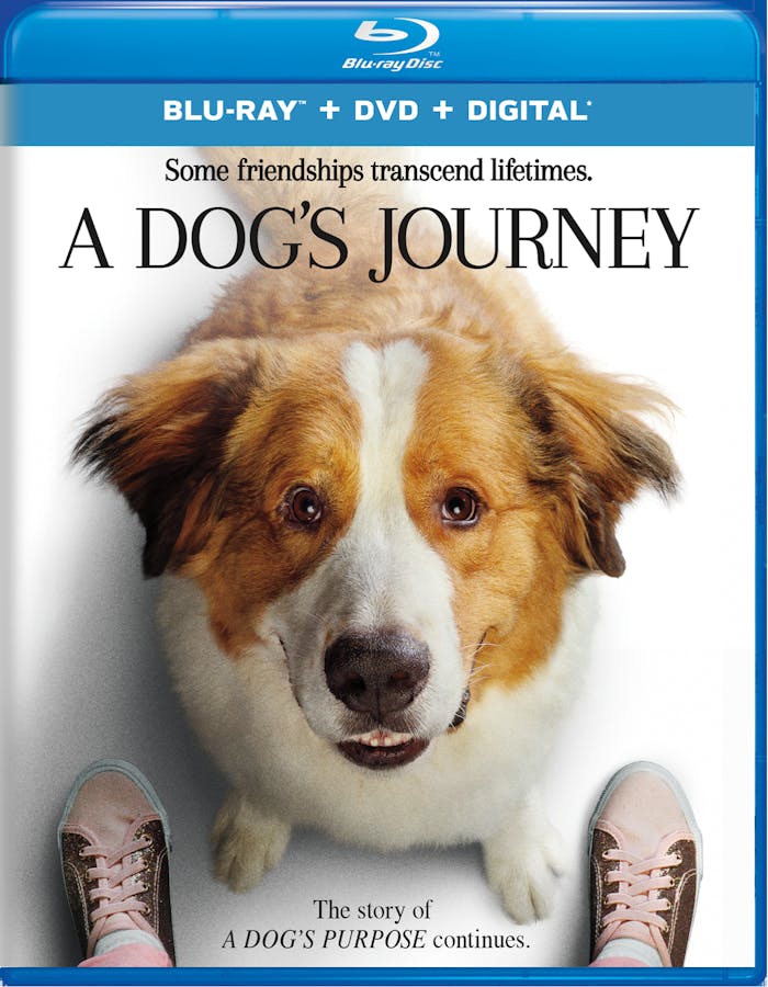 A Dog's Journey (DVD + Digital) [Blu-ray]