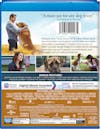 A Dog's Journey (DVD + Digital) [Blu-ray] - Back