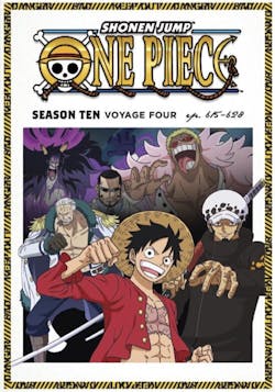 One Piece: Season Ten, Voyage Four [DVD]