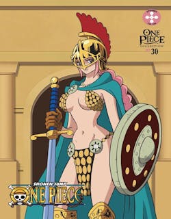 One Piece: Collection 30 (Blu-ray + DVD) [Blu-ray]