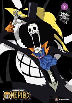 One Piece: Collection 14 (Uncut) [DVD]
