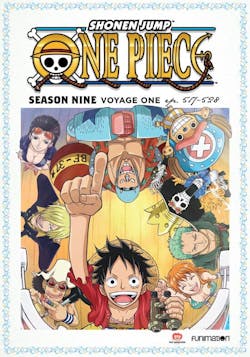 One Piece: Season Nine, Voyage One [DVD]