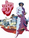 Super Fly [DVD] - Front