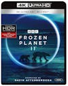 Frozen Planet II (4K Ultra HD + Blu-ray) [UHD] - 3D