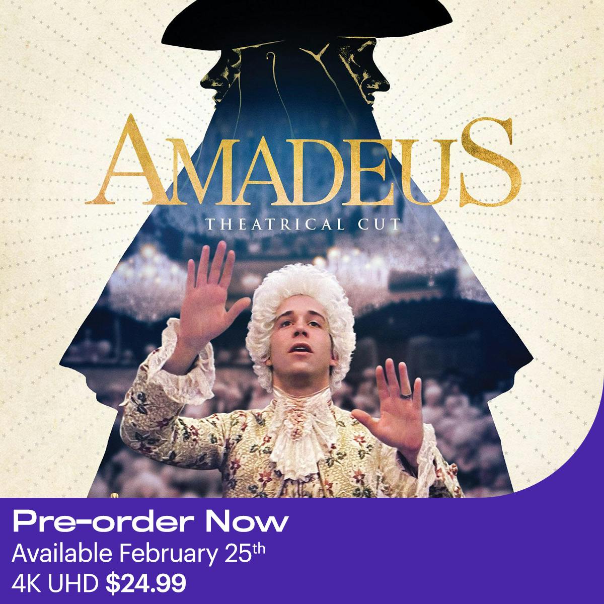 1200x1200 Amadeus 4K UHD