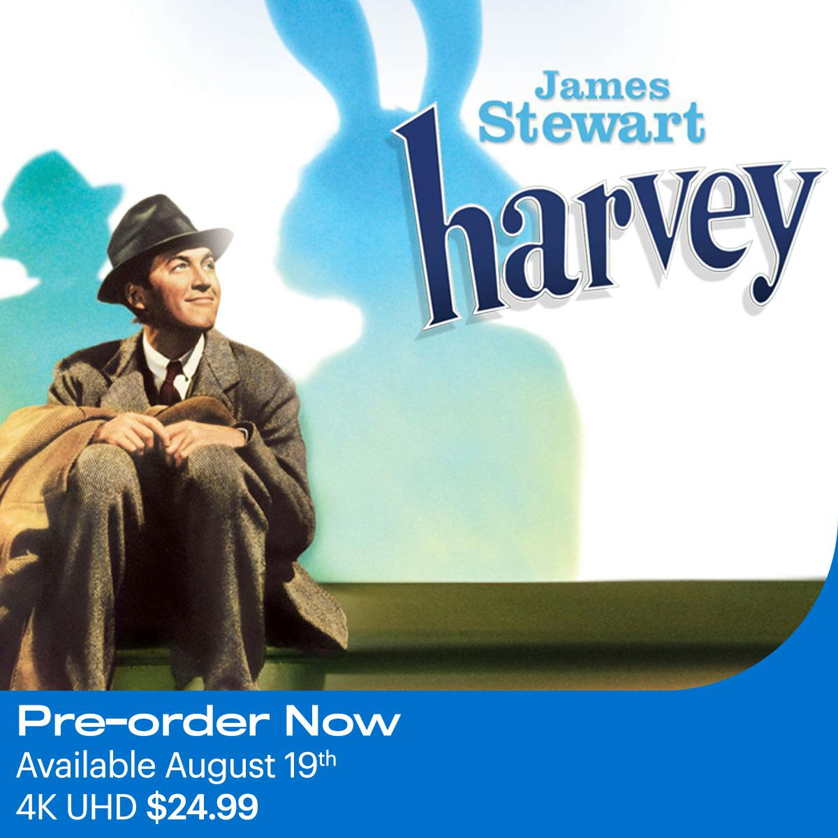 1200x1200 Harvey 4K 