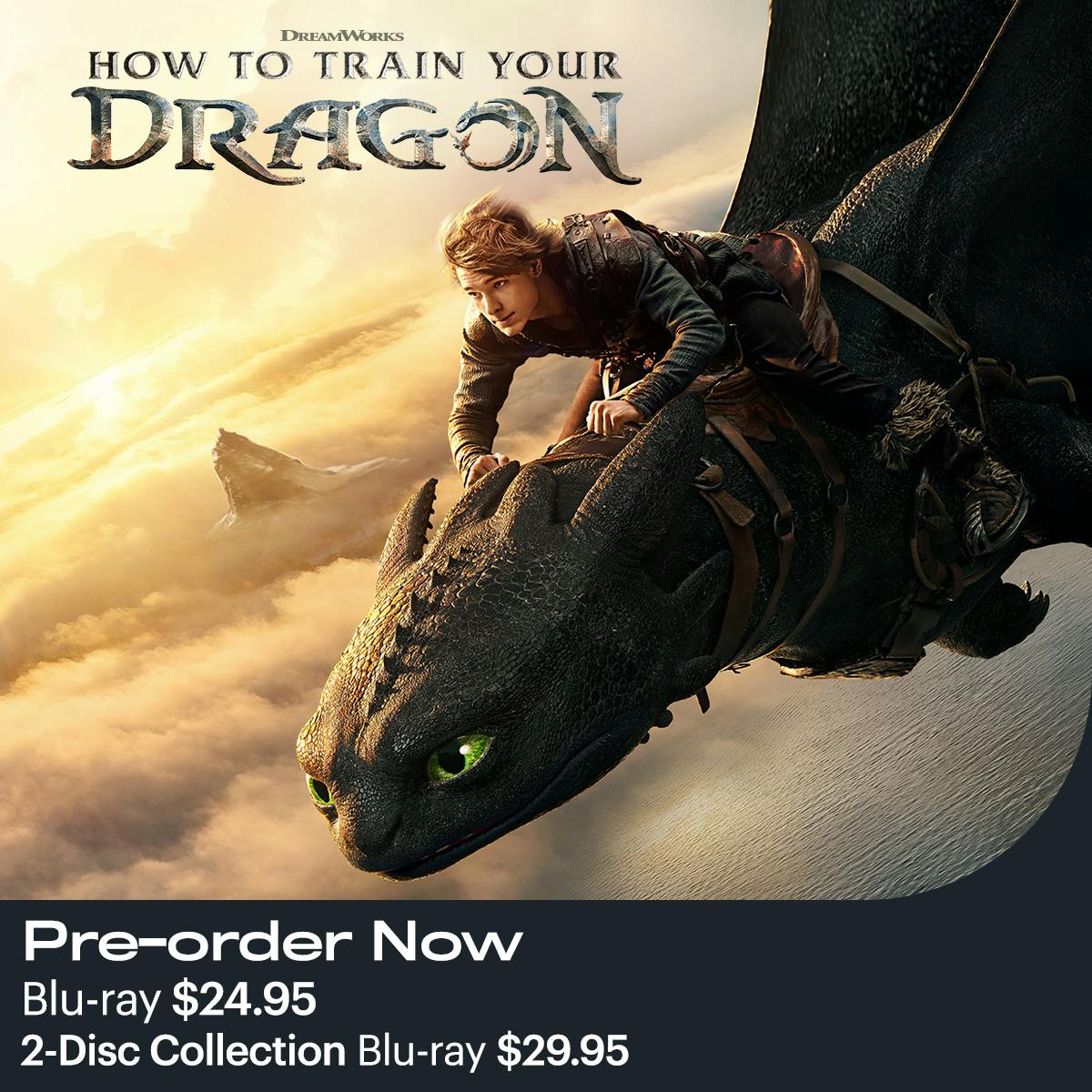 1200x1200 How to Train Your Dragon 2025 BD