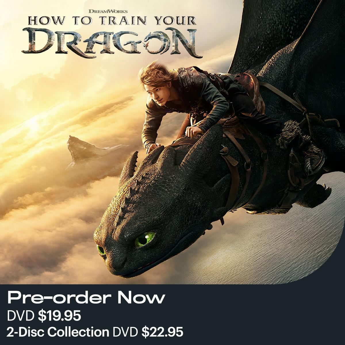 1200x1200 How to Train Your Dragon 2025 DVD
