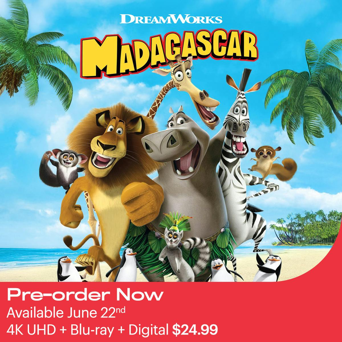 1200x1200 Madagascar 4K