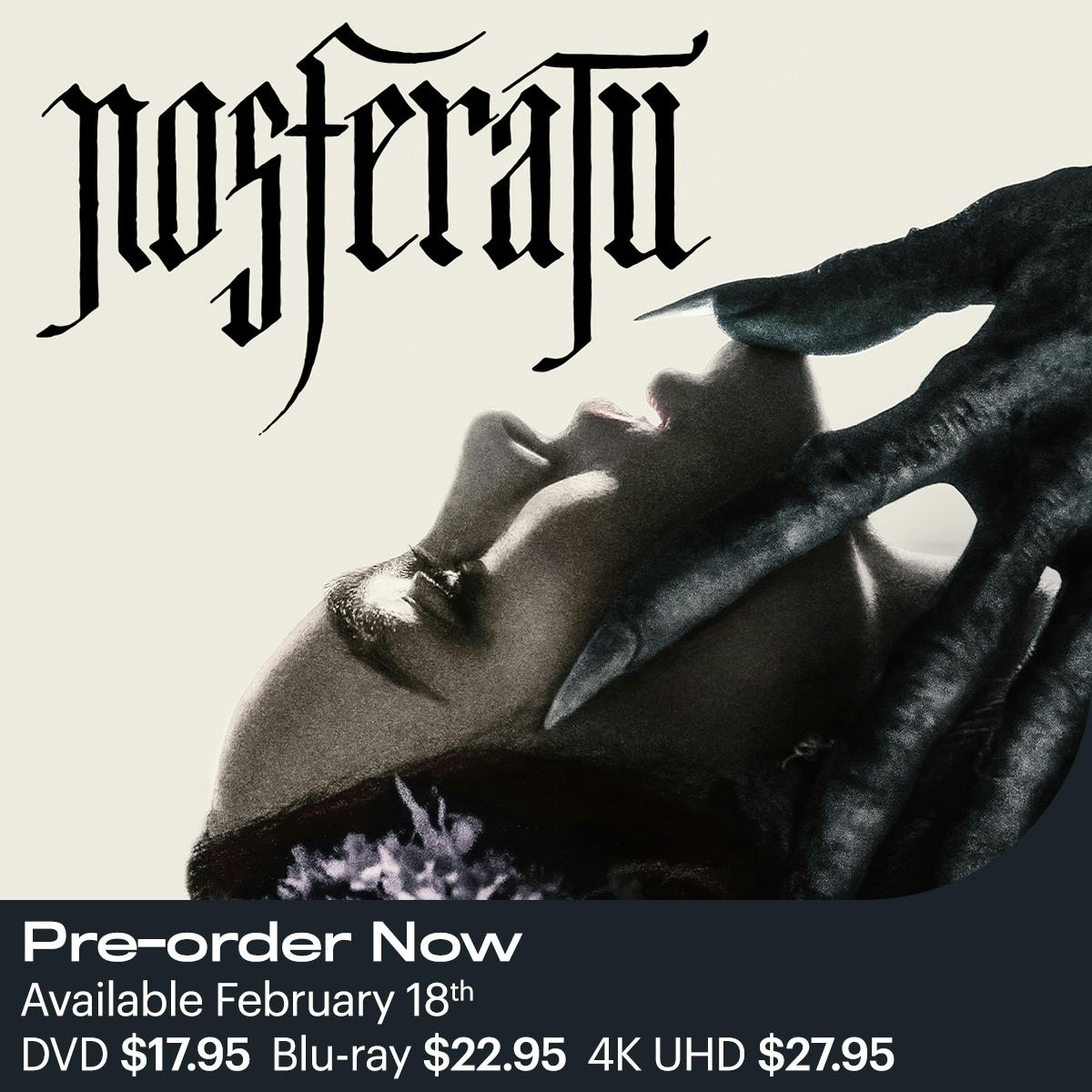 1200x1200 Nosferatu All formats