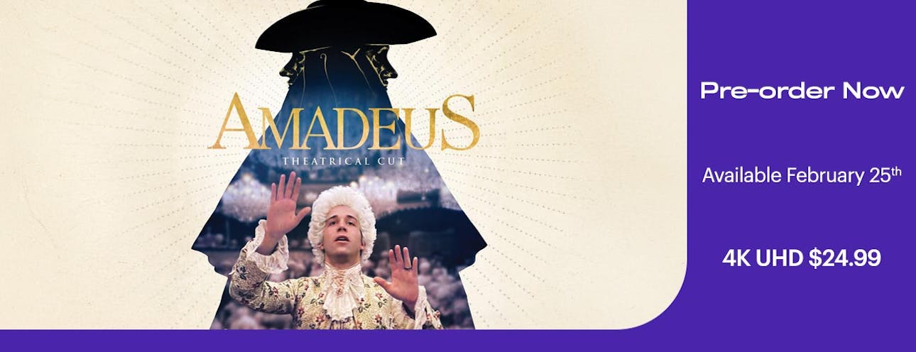 1300x500 Amadeus 4K UHD