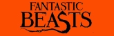 165x52 Fantastic Beasts