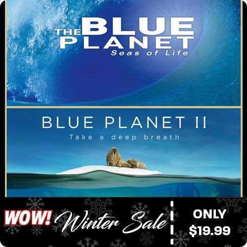 500x500 Blue Planet Series 1 and 2