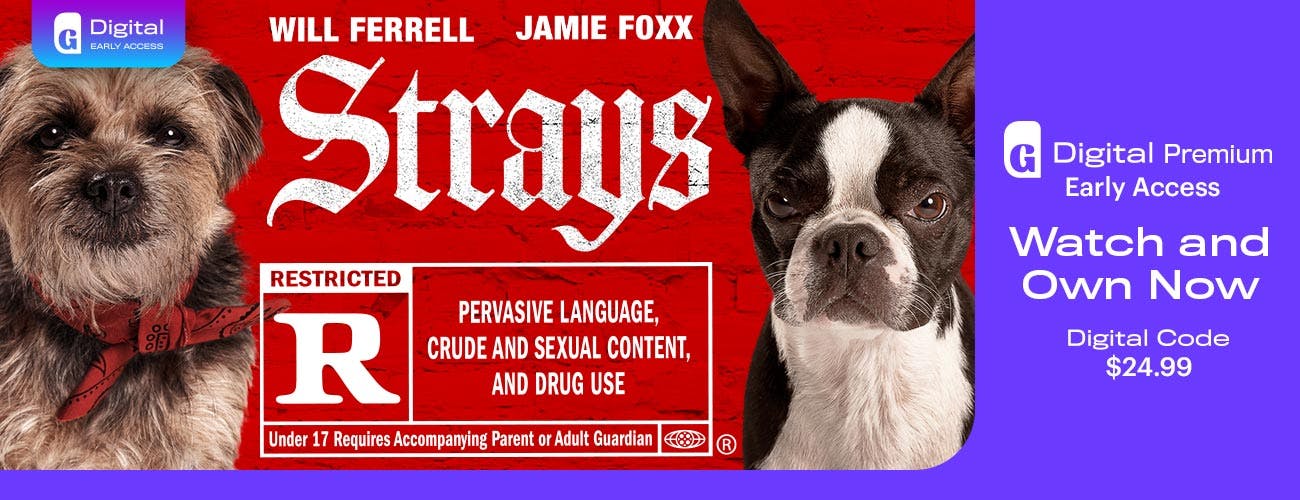Strays