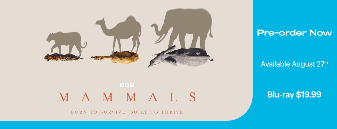 Mammals