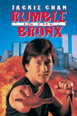 Rumble in the Bronx [DVD]