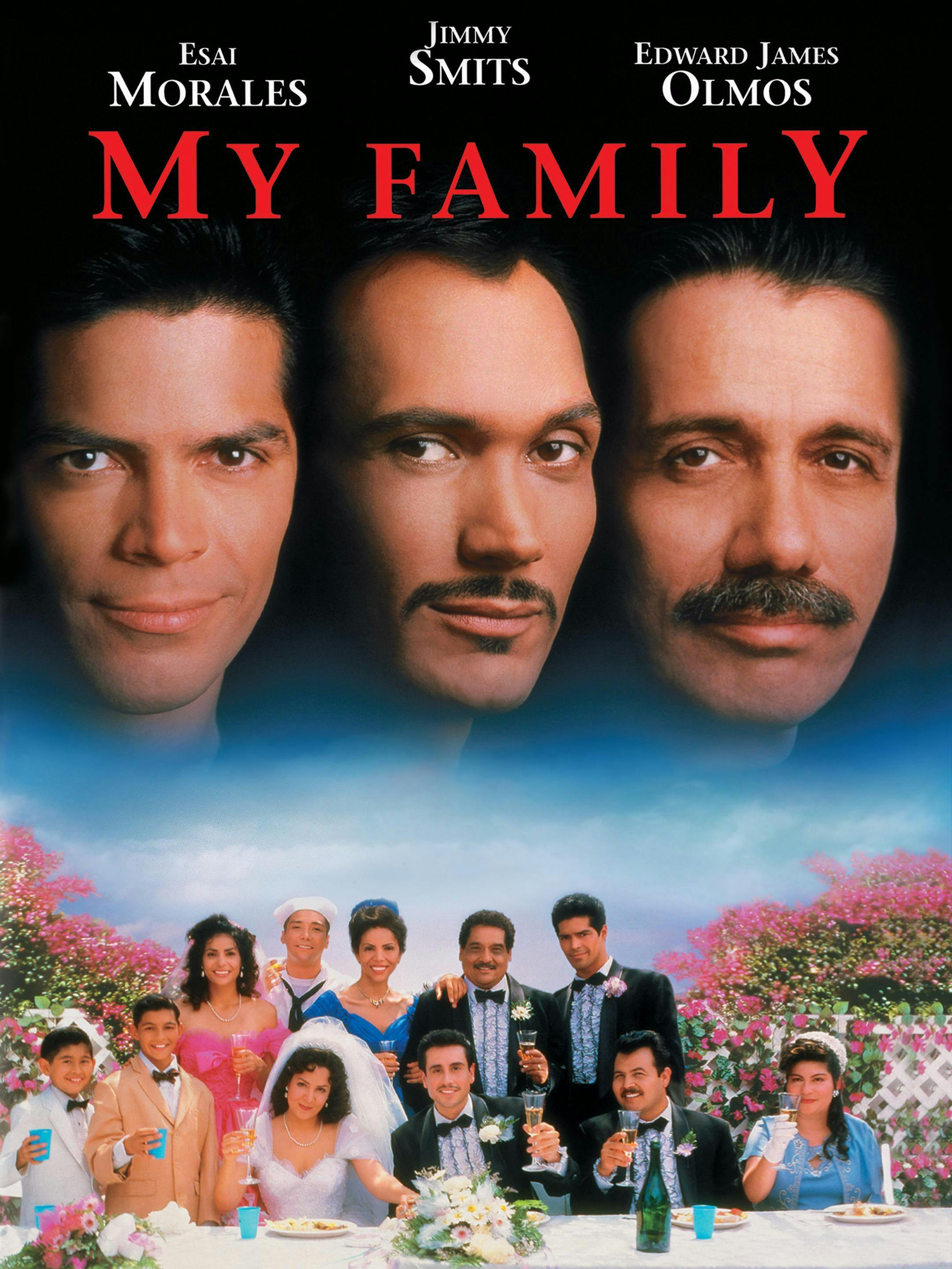 My Family, Mi Familia - DVD