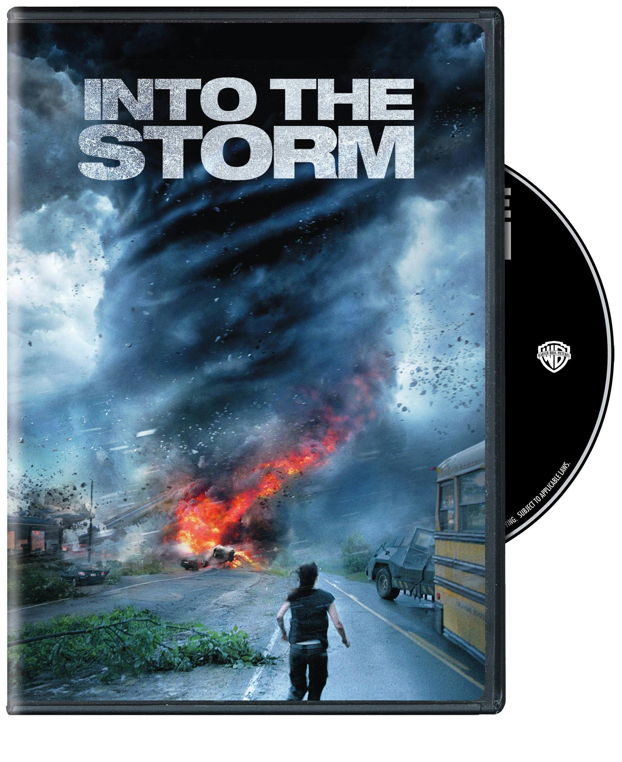 Into The Storm - DVD