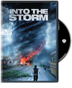 Into The Storm [DVD]