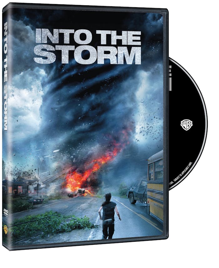 Into The Storm [DVD]