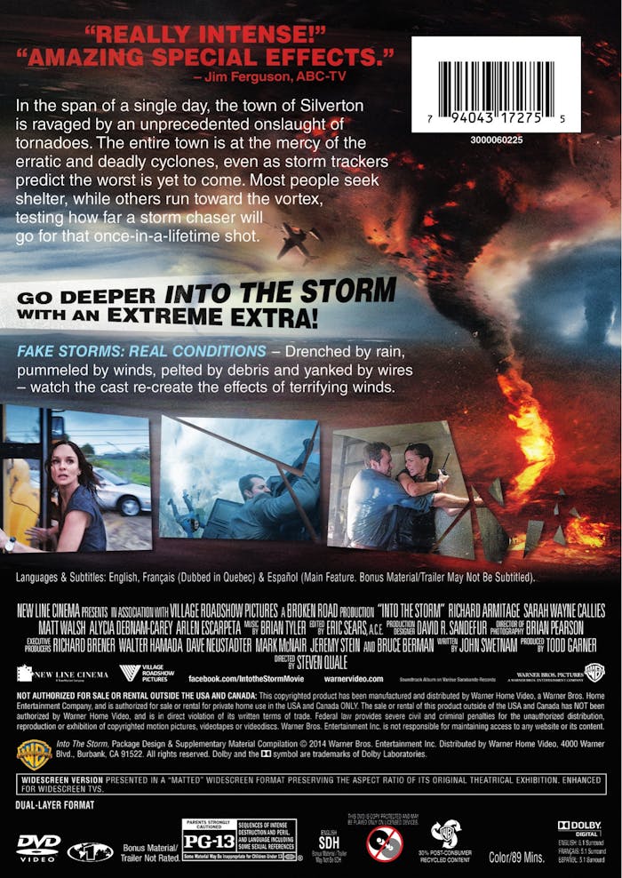 Into The Storm [DVD]