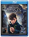 Fantastic Beasts and Where to Find Them [Blu-ray] - Front