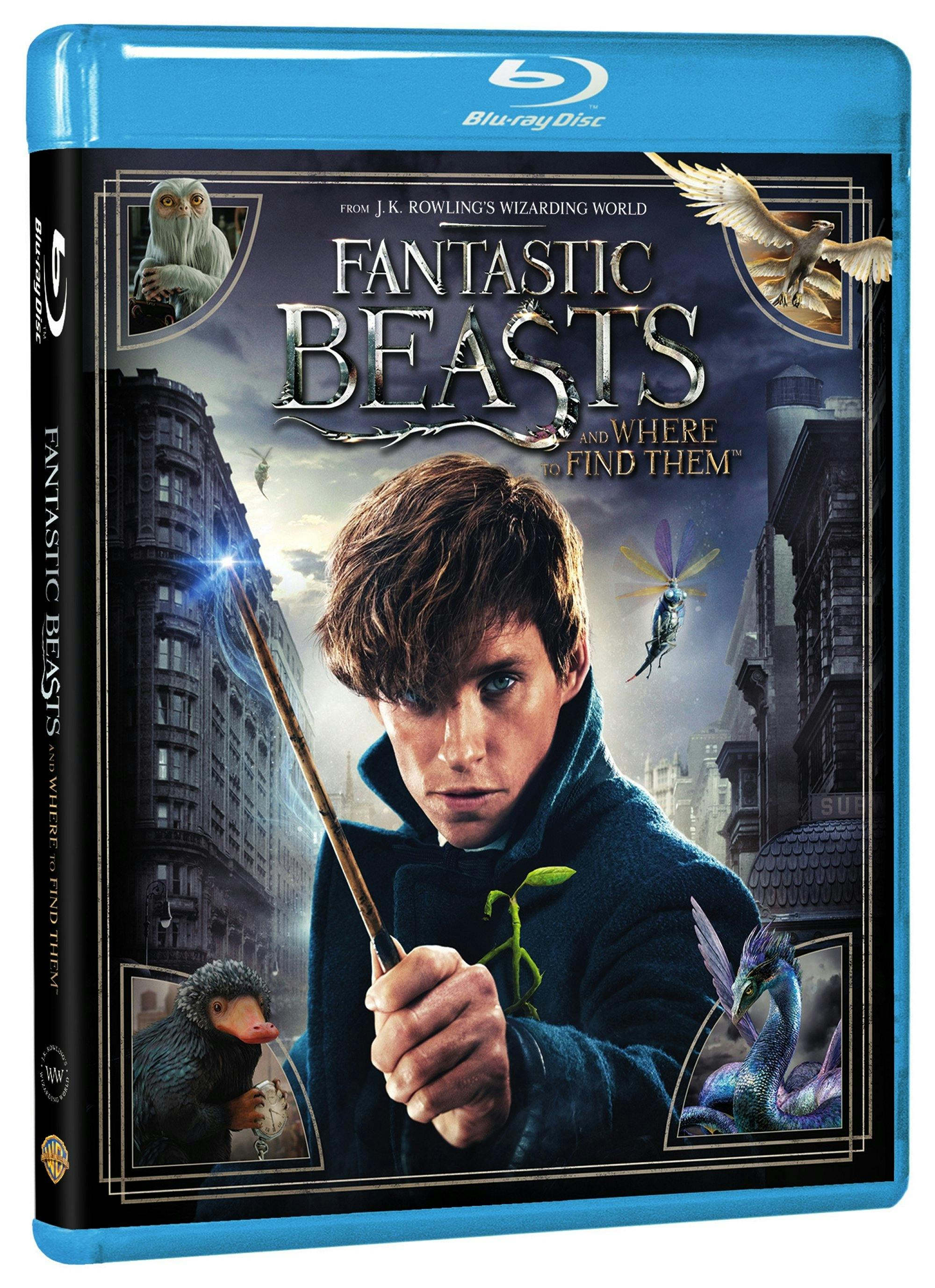 Buy Fantastic Beasts And Where To Find Them Blu-ray | GRUV