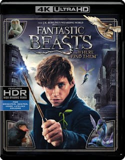 Fantastic Beasts and Where to Find Them (4K Ultra HD + Blu-ray) [UHD]