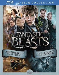 Fantastic Beasts: 2-film Collection [Blu-ray]