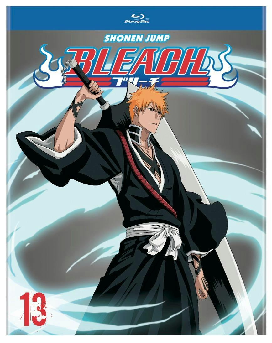 Bleach (TV) Set 13