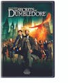 Fantastic Beasts: The Secrets of Dumbledore [DVD] - Front