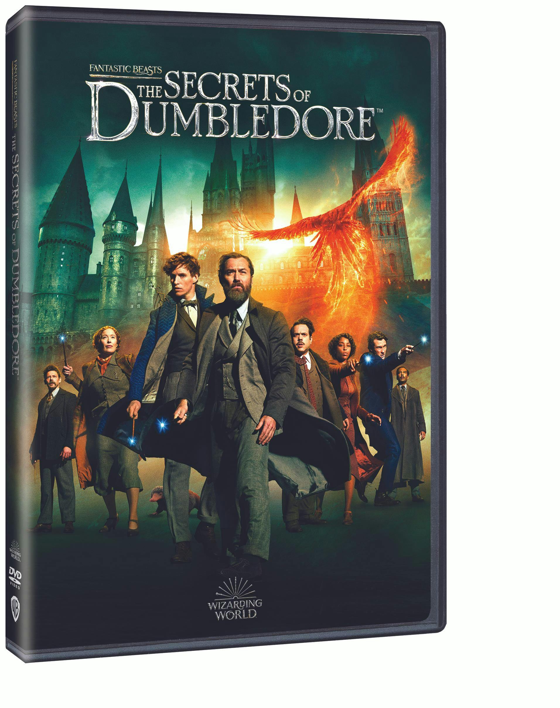 Buy Fantastic Beasts The Secrets of Dumbledore DVD GRUV