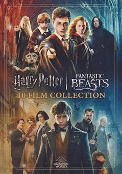 Harry Potter/Fantastic Beasts - 10-film Collection (Box Set) [DVD]