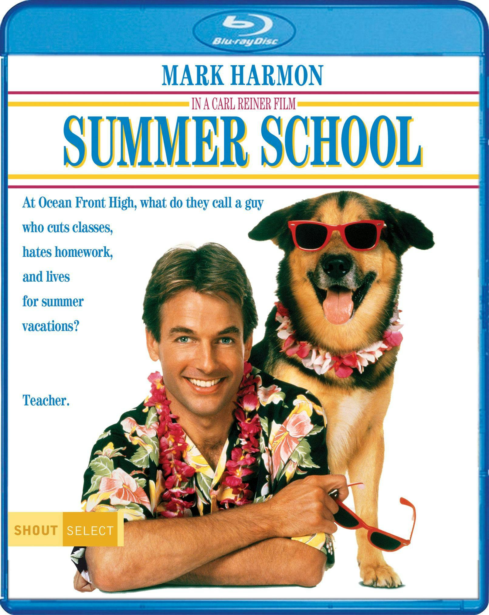 Summer School - Blu-ray