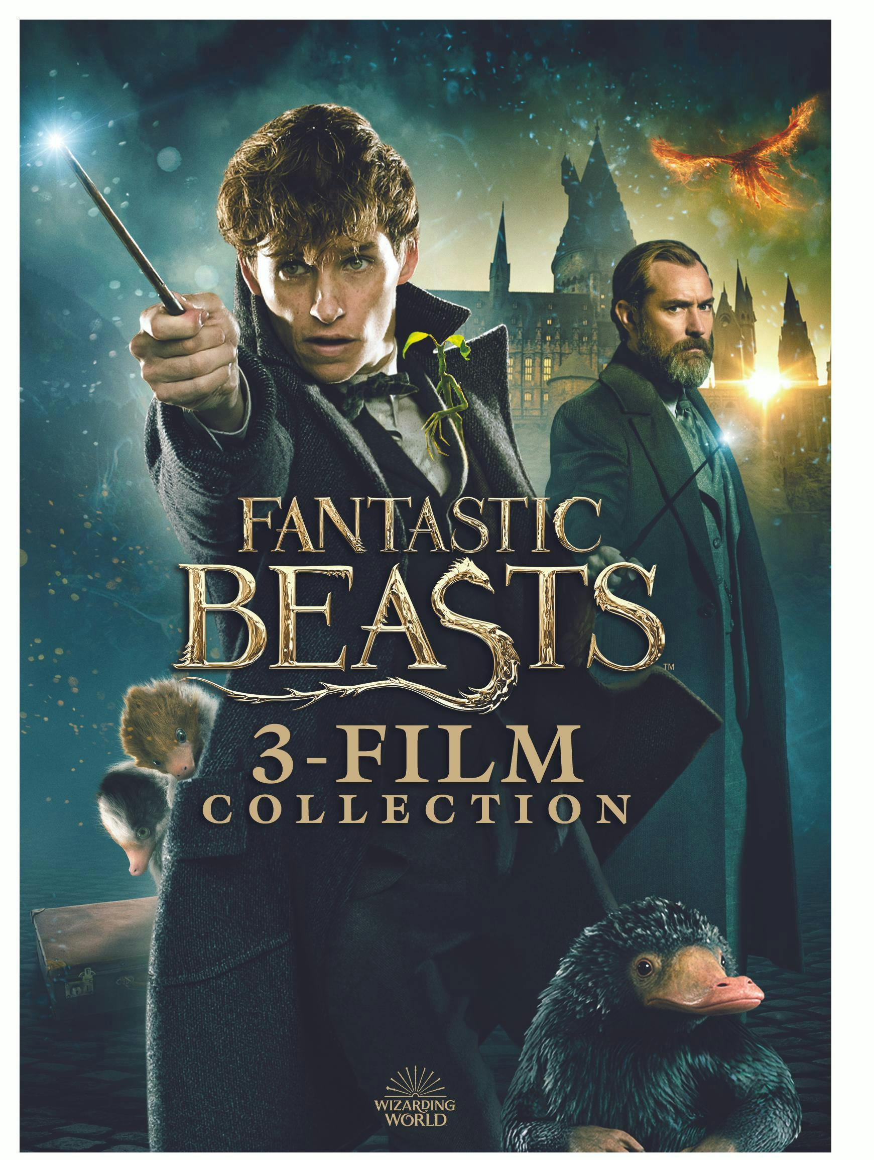 Buy Fantastic Beasts: 3-film Collection Box Set DVD | GRUV