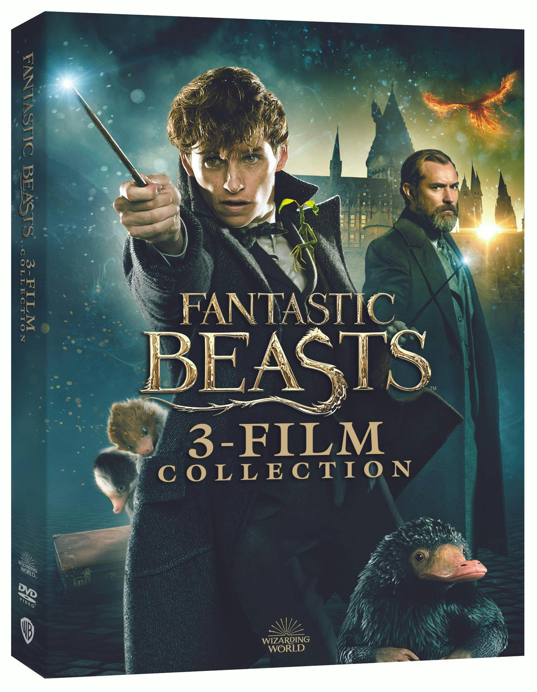 Buy Fantastic Beasts 3 film Collection Box Set DVD GRUV