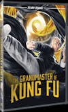 The Grandmaster of Kung Fu [DVD] - 3D
