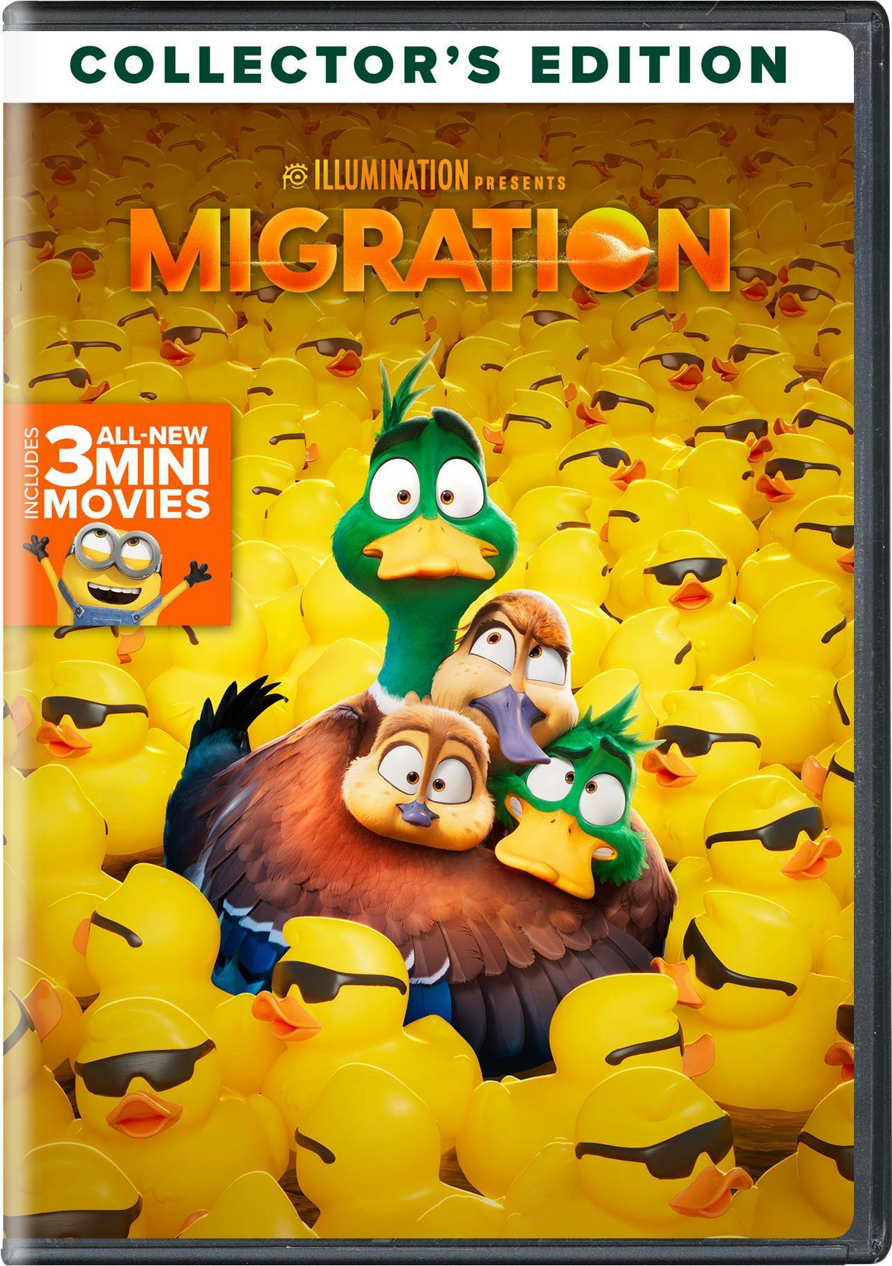 DVD Animation Movies GRUV