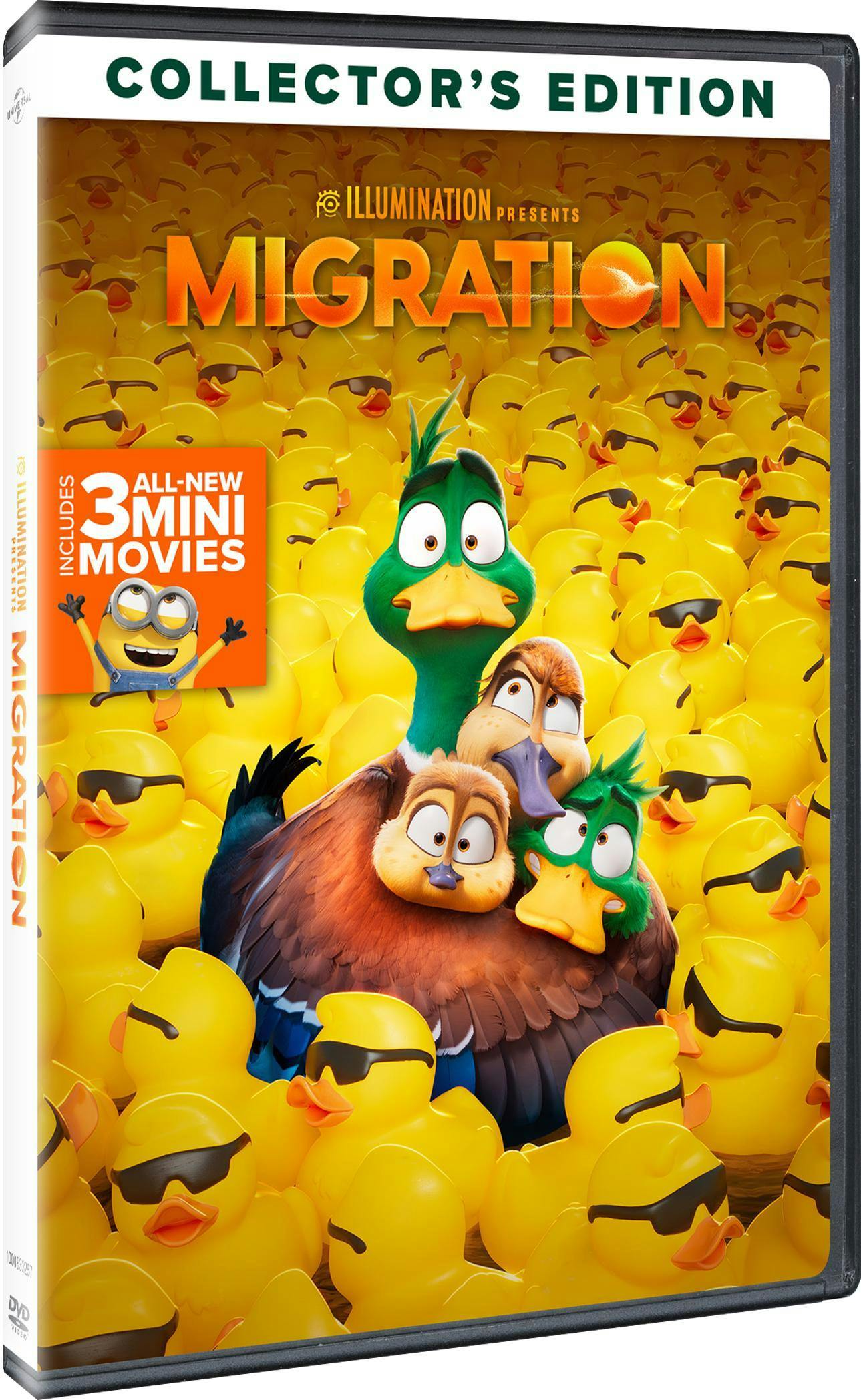 Buy Migration DVD | GRUV