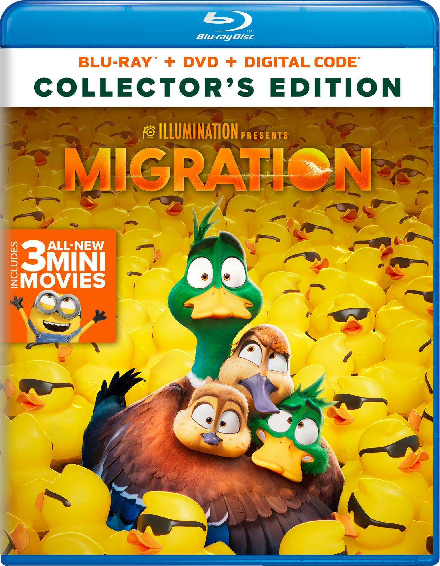 Buy Migration with DVD Blu ray GRUV