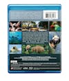 Asia [Blu-ray] - Back