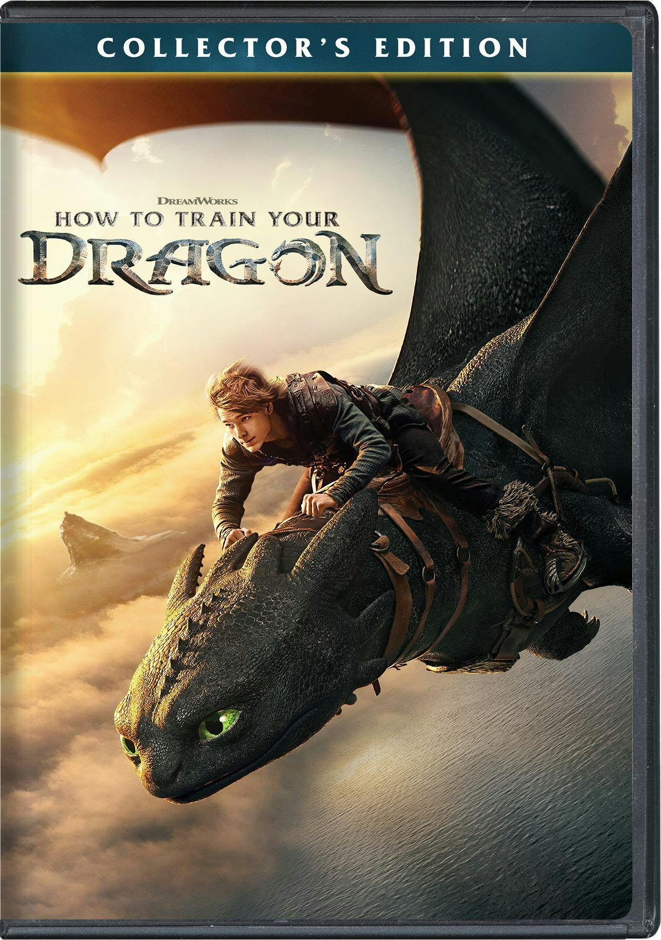 How to Train Your Dragon - DVD