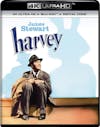 Harvey 4K [UHD] - Front